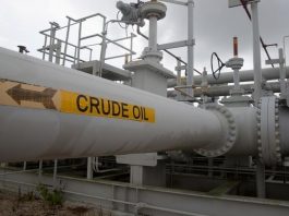 U.S. Crude Oil Inventories Fell by 1.21M Barrels Last Week: EIA By