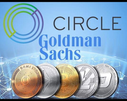 Goldman Sachs-Backed Crypto Firm Circle Seeks $250 Mln In Funding: Report